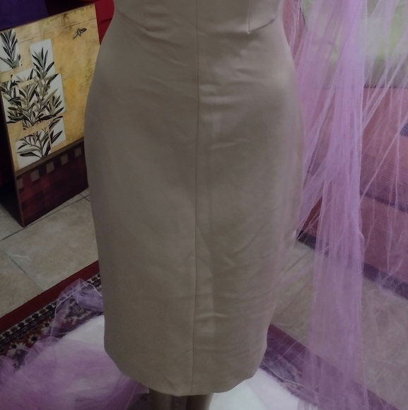 Zara Dress - Picture 3 of 4